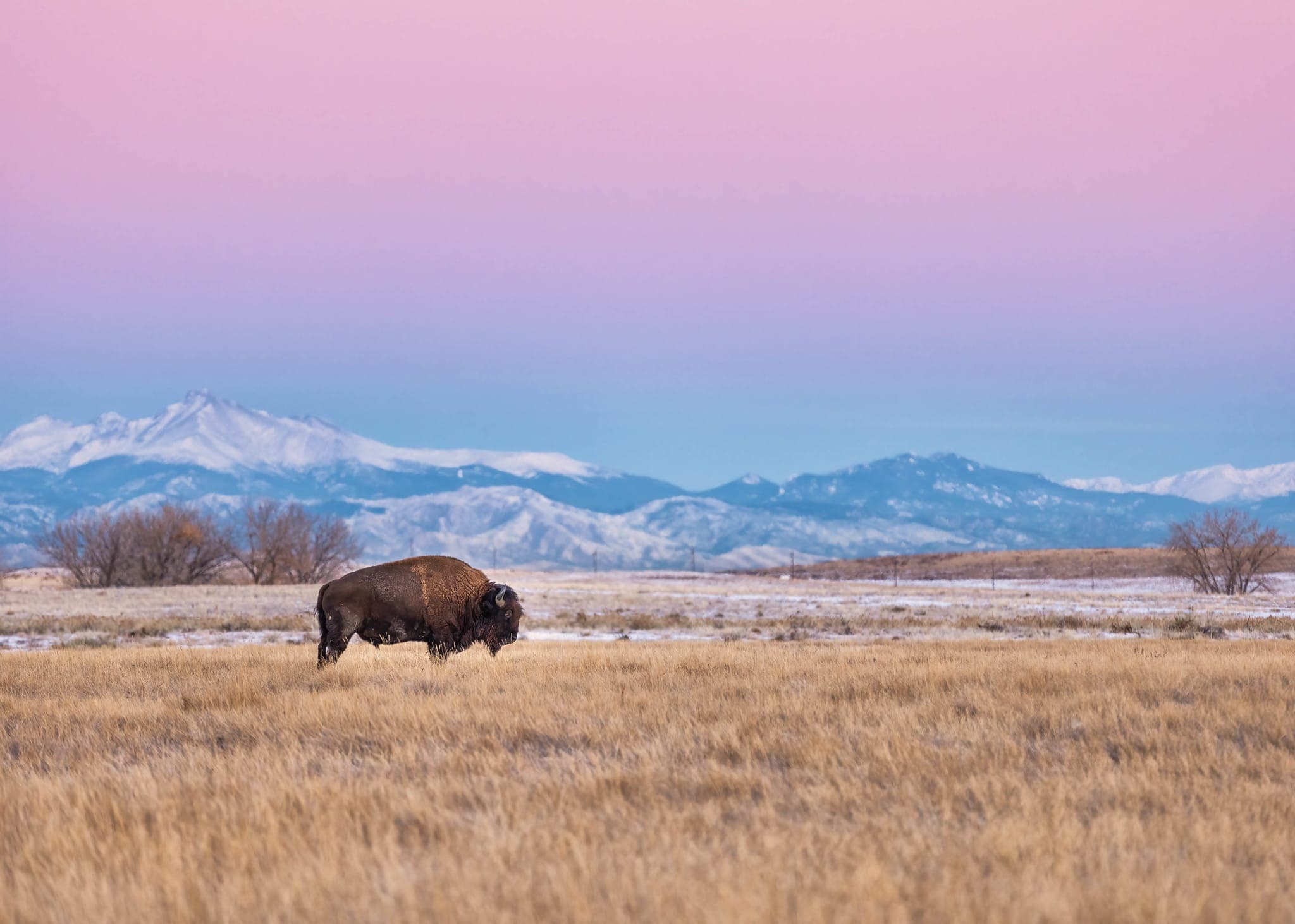 Commerce City, Colorado